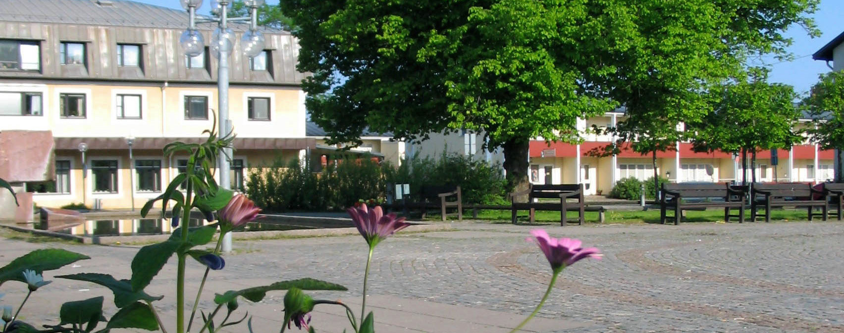 Vårig bild i en park i Aneby