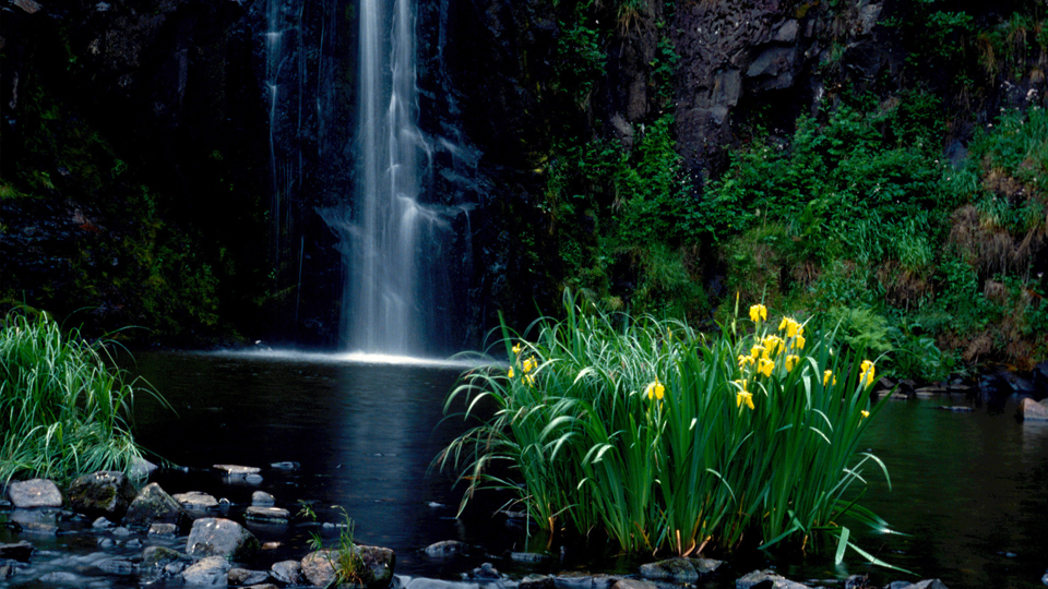 Foto på ett vattenfall med stenar och blommor runt om.