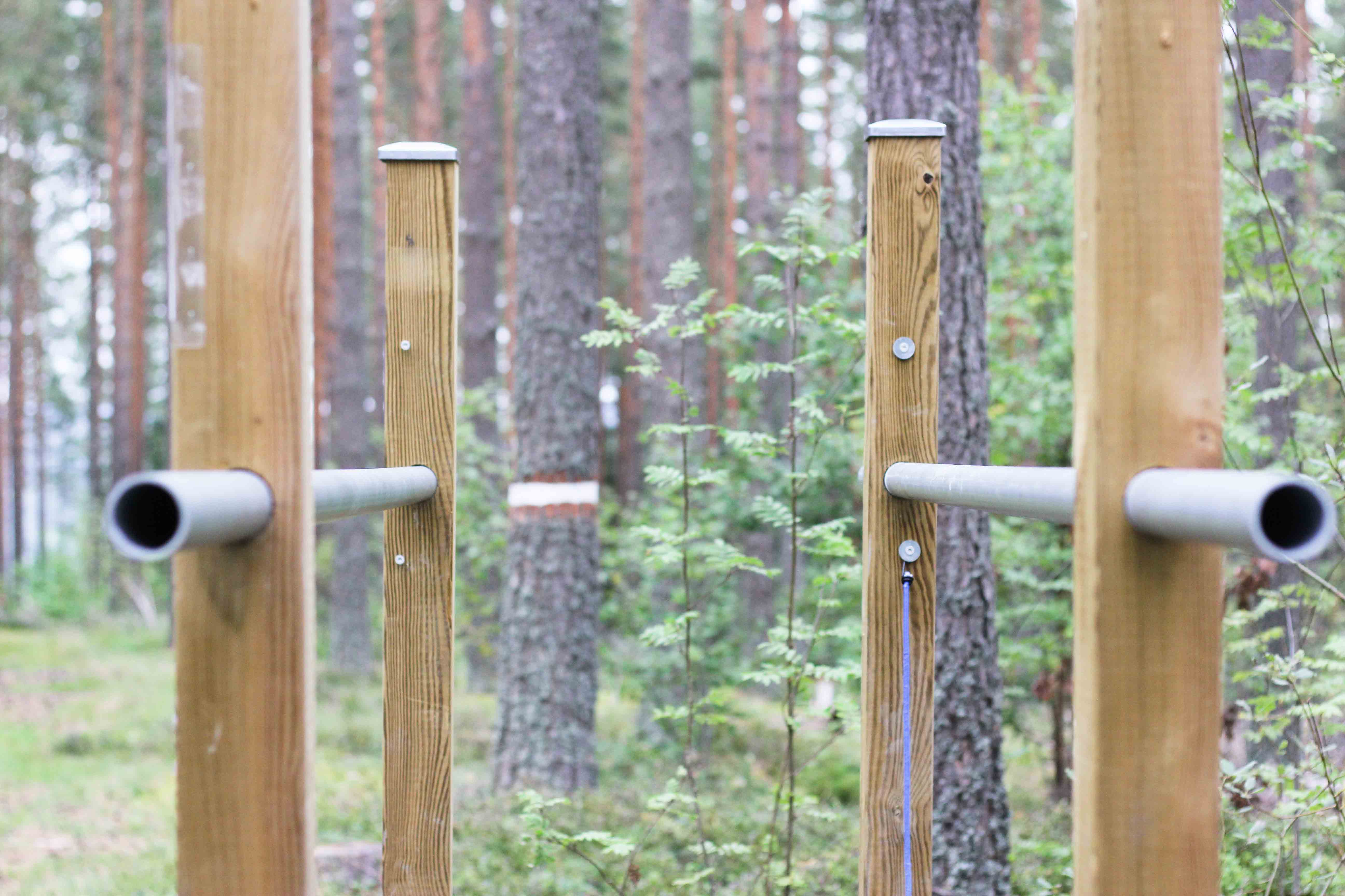 Bild på delar av utegymmet som finns i naturreservatet.