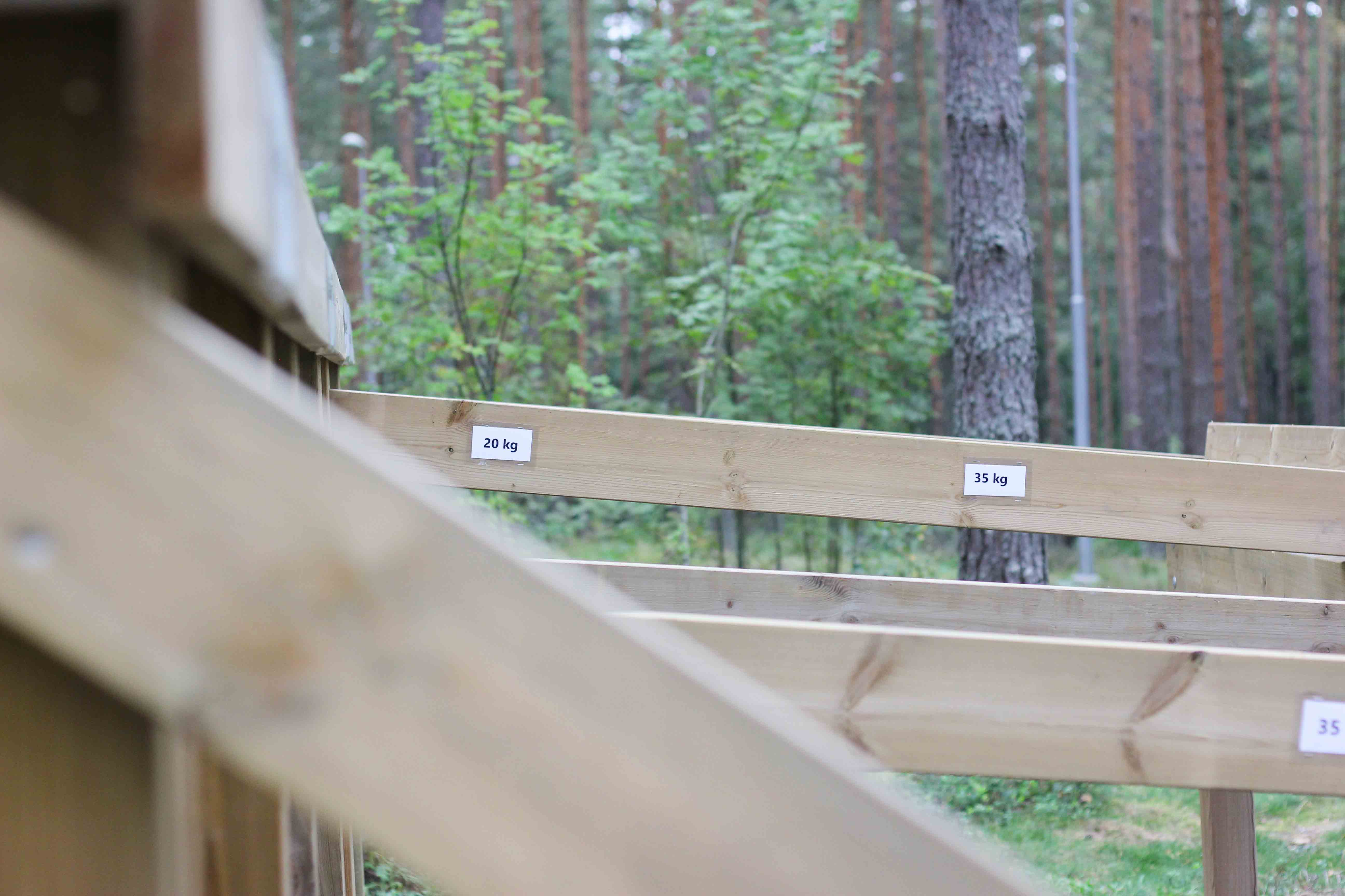 Bild på delar av utegymmet som finns i naturreservatet.