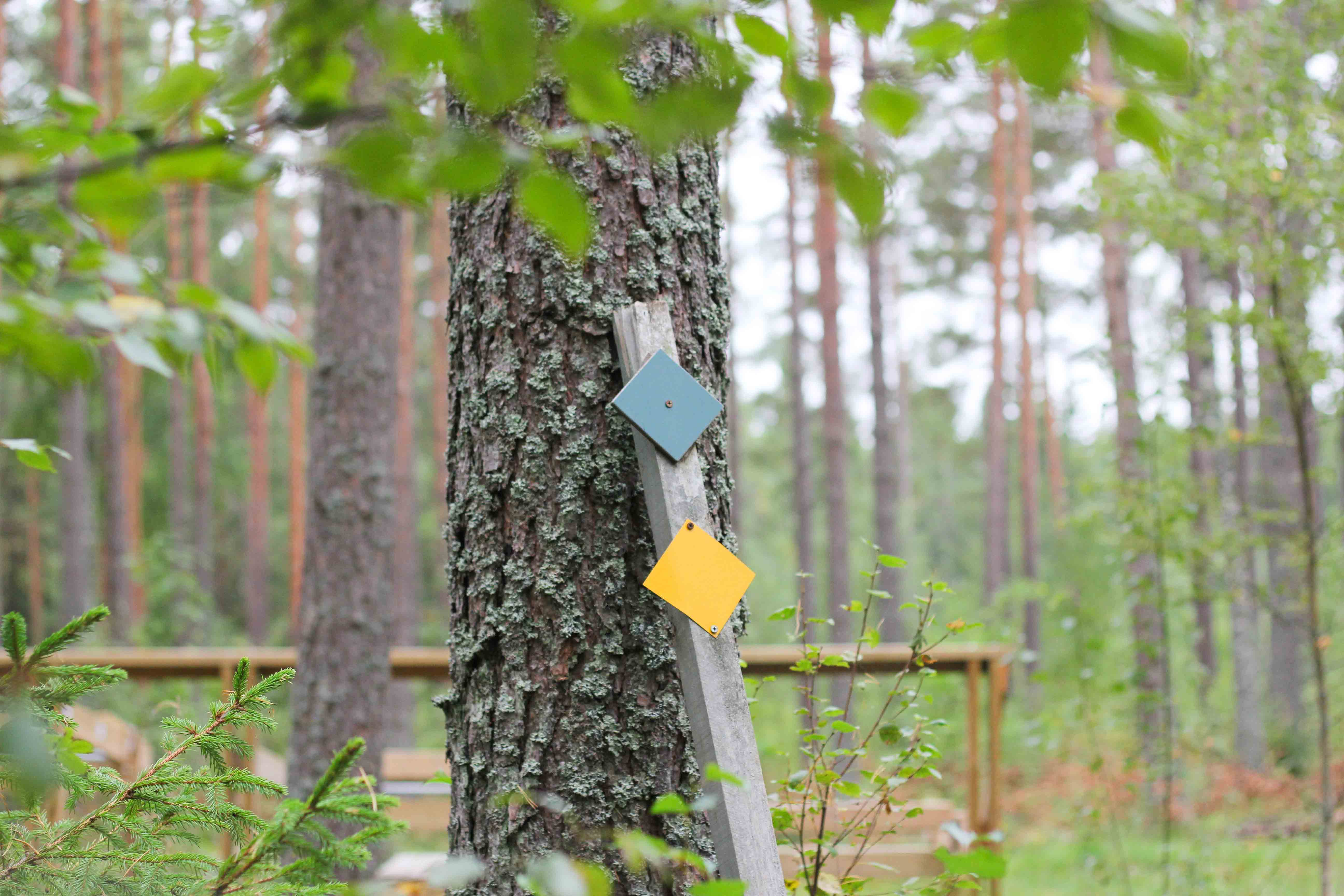 Bild på markering i naturreservatet. 