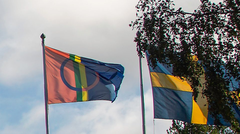 Den samiska flaggan och den svenska flaggan vajar bredvid varandra mot en ljus himmel, delvis skymda av grenar från ett träd. Foto 
