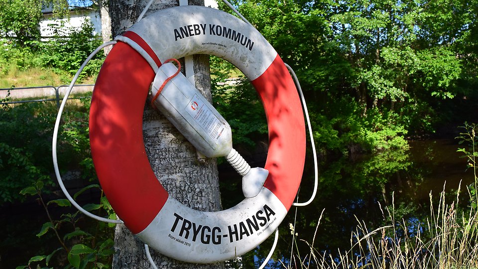 Livboj hänger på ett träd vid Svartån i Aneby. Foto. 