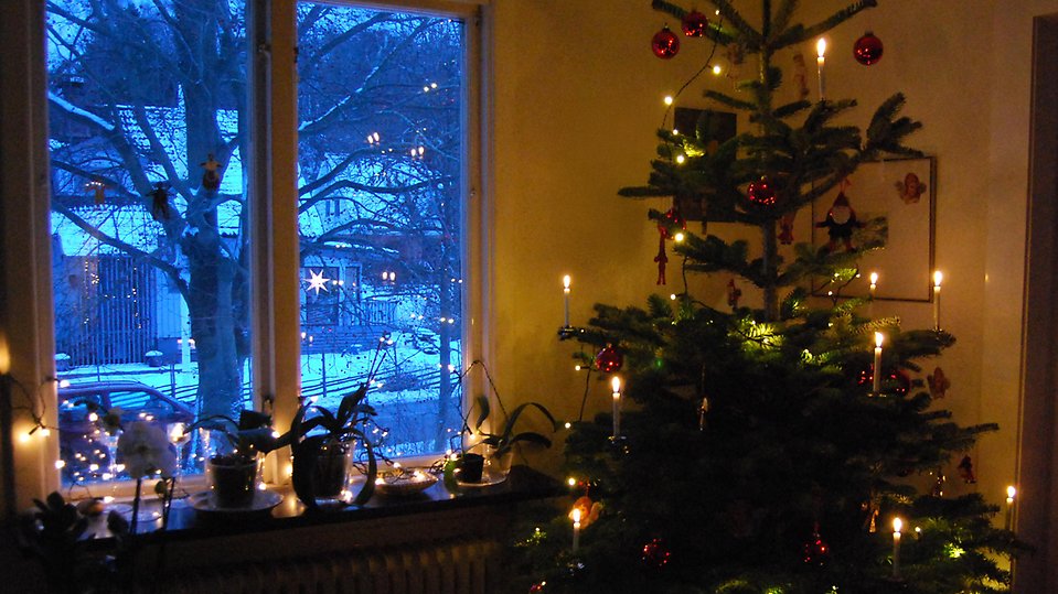 Julgran med ljus och dekorationer står i ett vardagsrum vid ett fönster, med utsikt över ett snötäckt landskap utanför. Foto